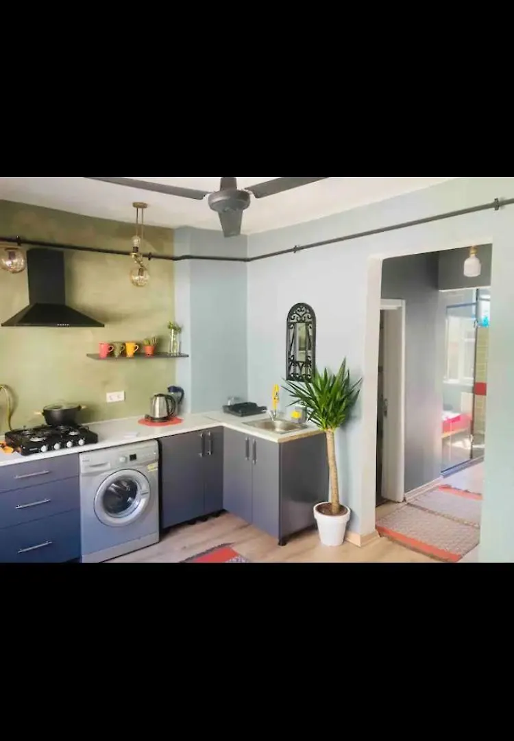 公寓 Shiva Suites 伊斯坦布尔
