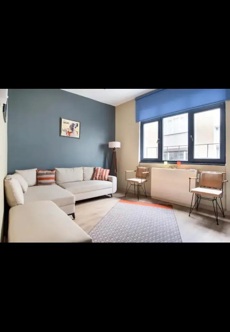 Shiva Suites 伊斯坦布尔 公寓