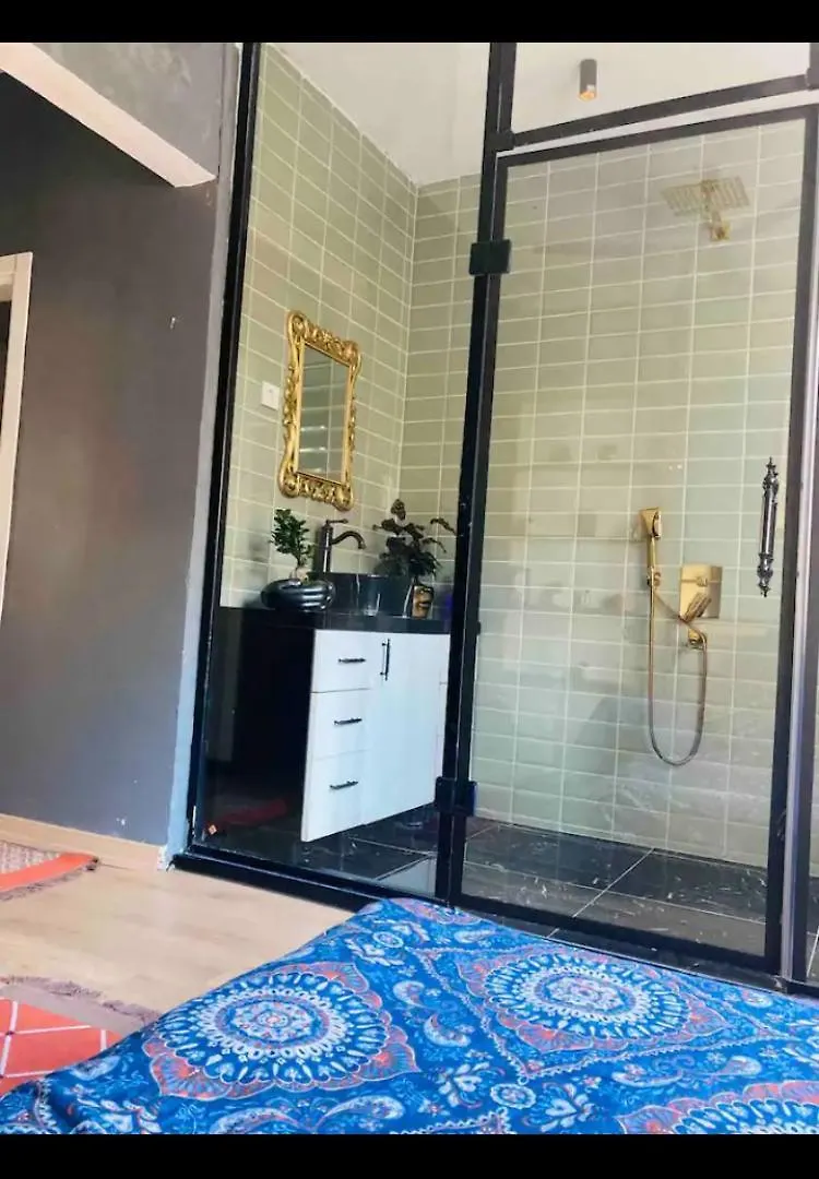 公寓 Shiva Suites 伊斯坦布尔 土耳其